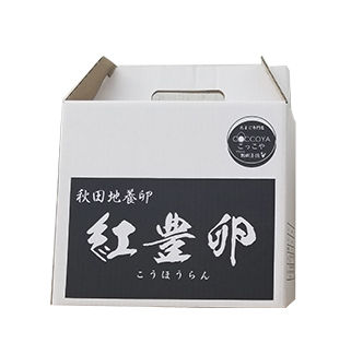 秋田 松岡養鶏 紅豊卵 こうほうらん 地養卵10個入