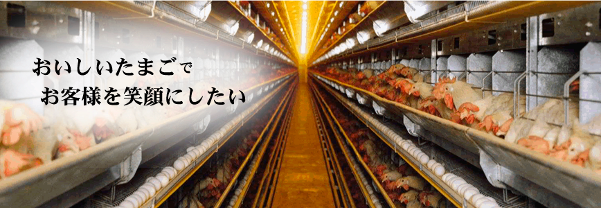 北秋田市 松岡養鶏